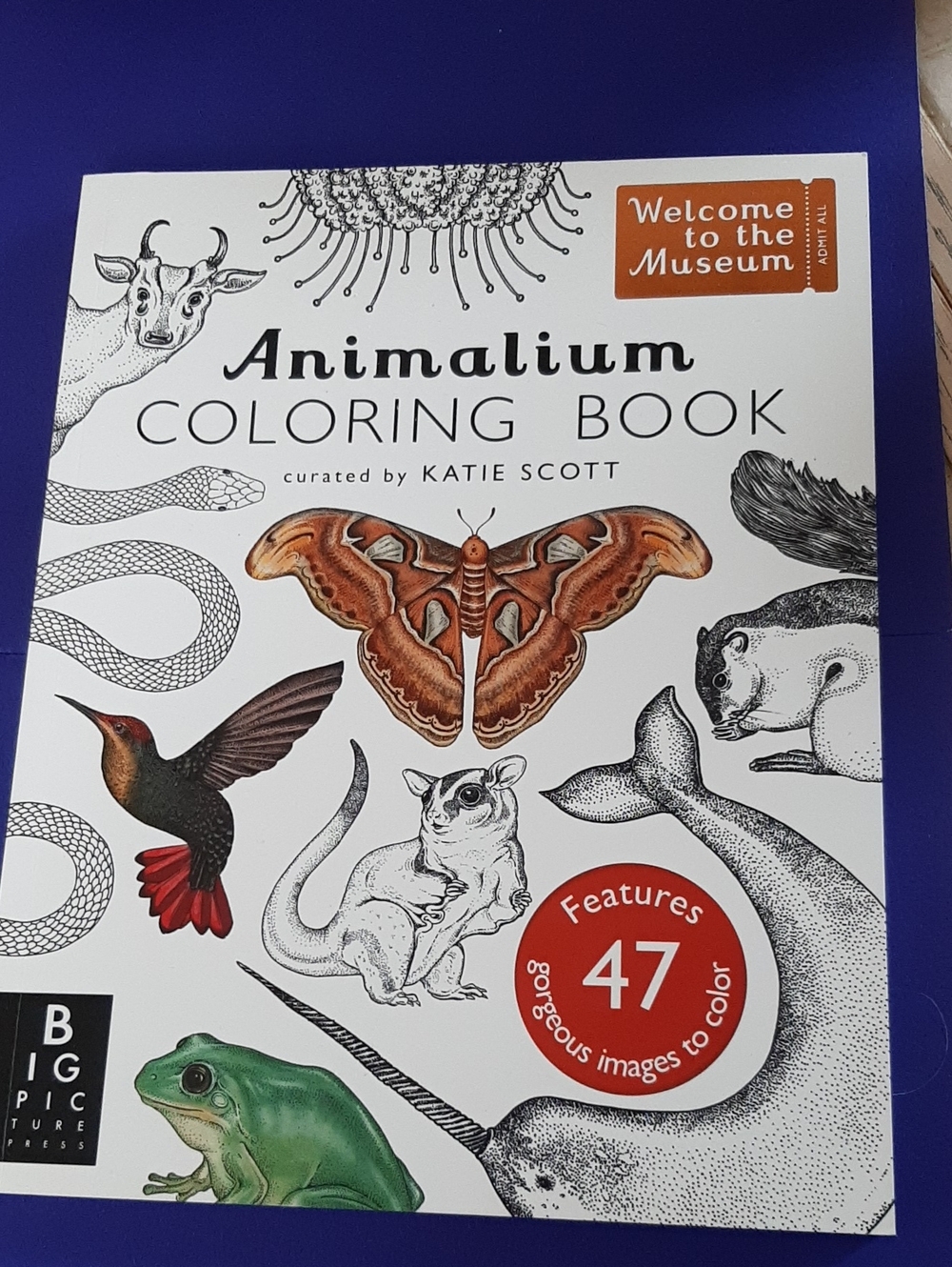 Animal Animalium Coloring Book -New